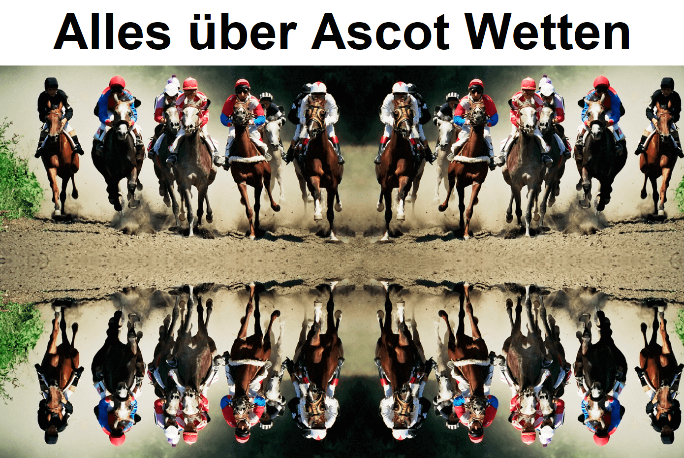 Alles über Ascot Wetten